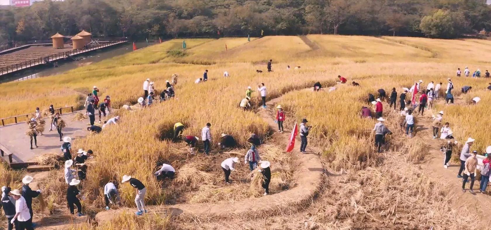 致敬国家科技进步一等奖作文,一等奖全国作文江苏