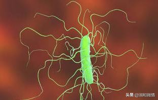 甲硝唑片的说明书用量看不懂,甲硝唑片说明书范文