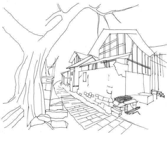 速写风景初学者入门教程,速写风景初学者入门教程植物