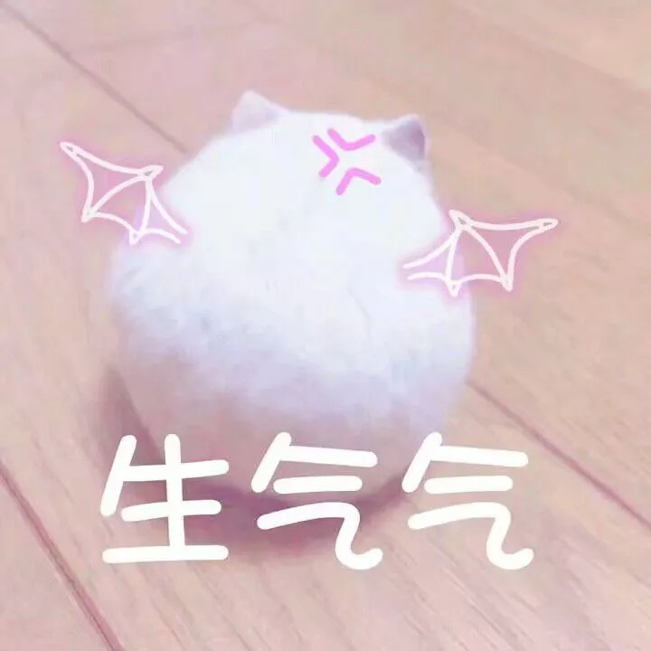 品牌官方旗舰店是真的还是假的,你以为的正品都是山寨品牌