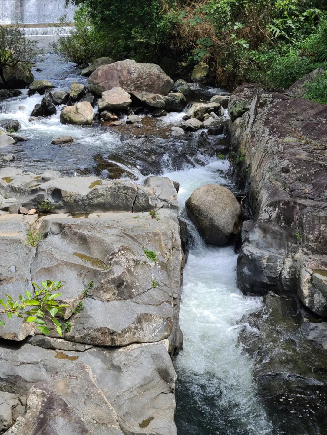 海南之行记录全集,海南之行的记录