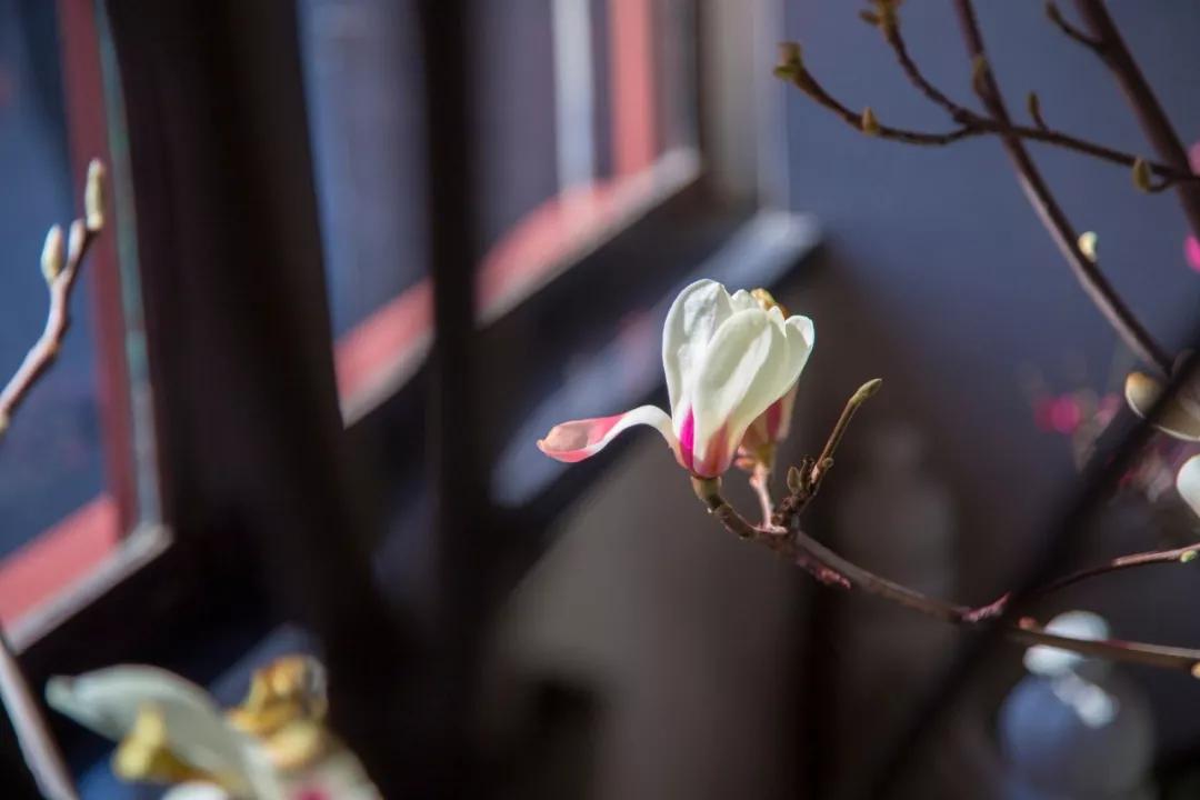 看透了人情冷暖世态炎凉的诗句,写透人情冷暖世态炎凉的10首诗