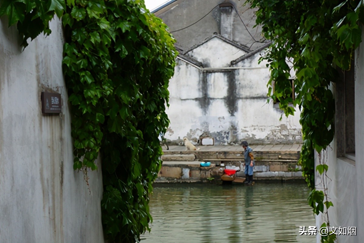 苏州一个原汁原味的水乡古镇,如果你来苏州一定要来古镇看看