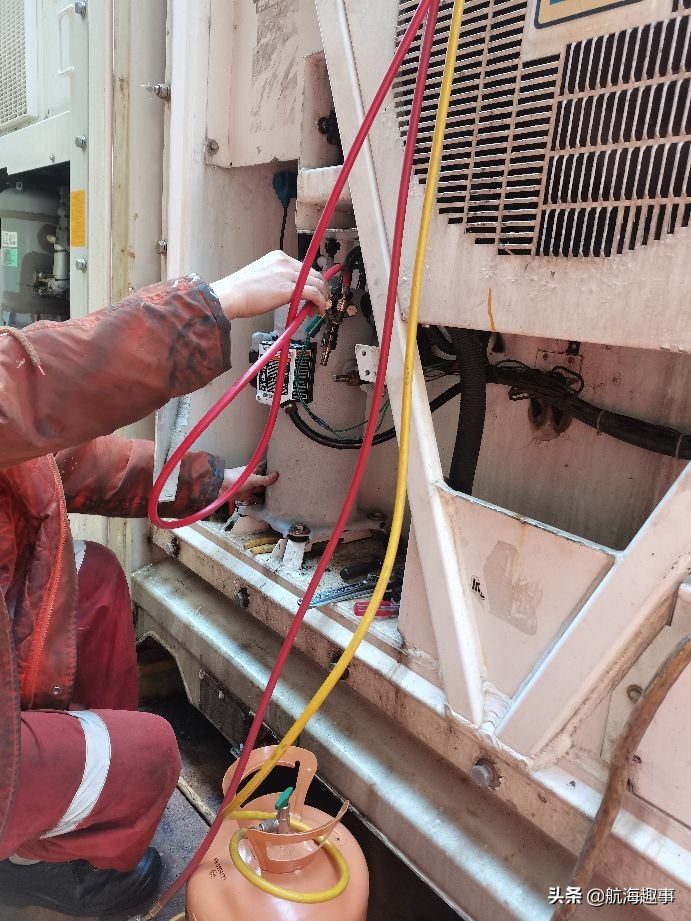 航海故事视频,航海王故事内容