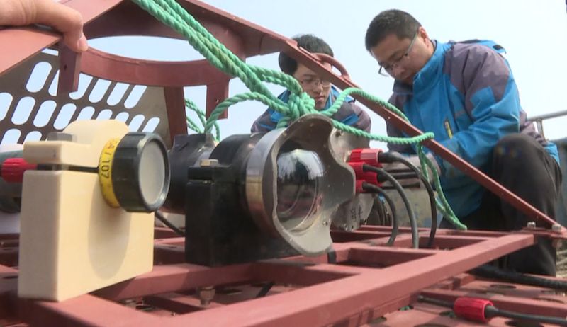 5万亩海洋牧场,青岛最大海洋牧场