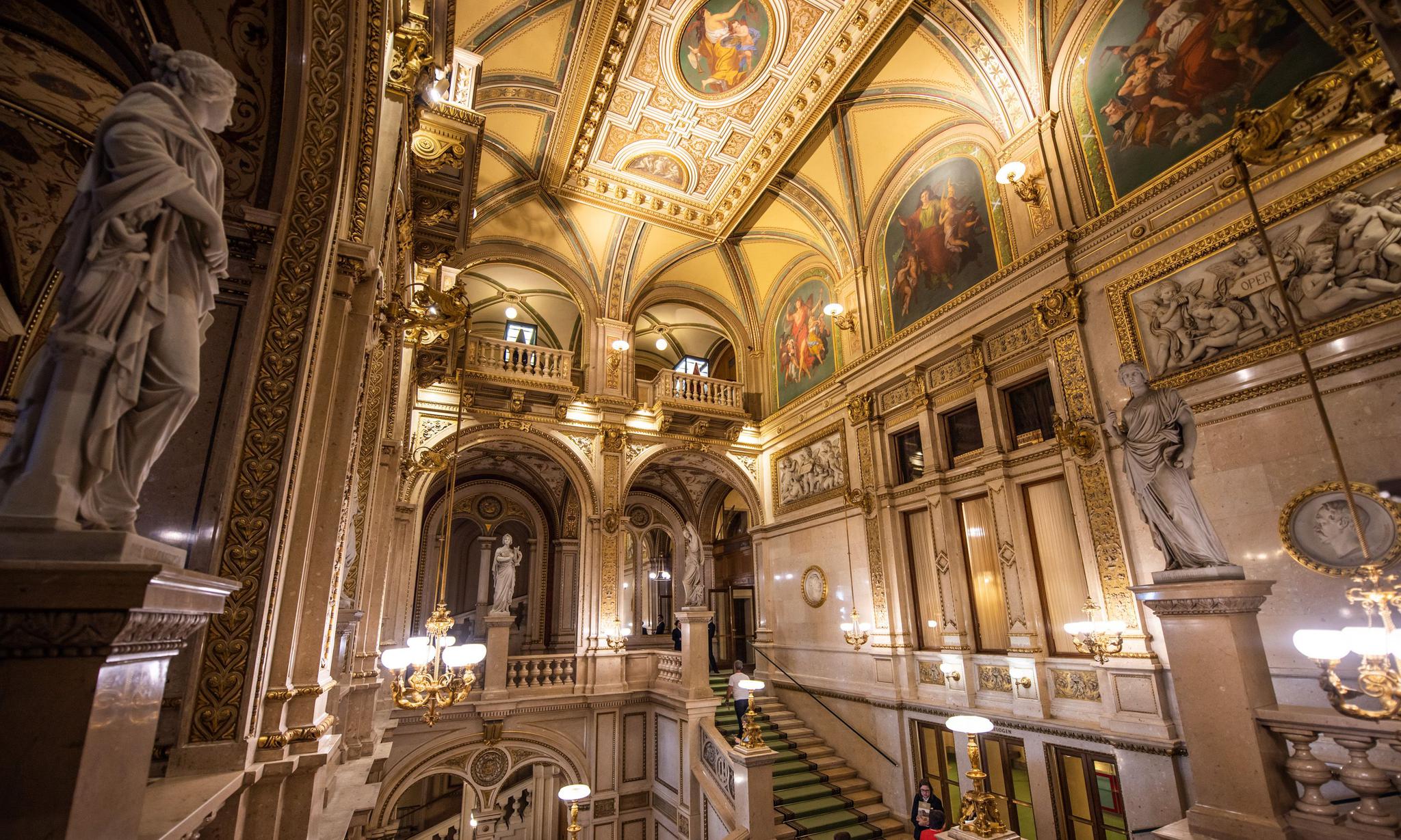 维也纳现在情况,维也纳到底有多可怕