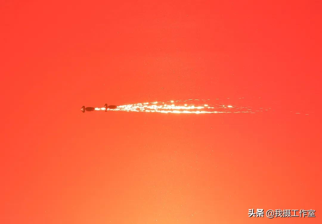 第16届国际摄影艺术展获奖作品,第29届全国摄影艺术展览作品集