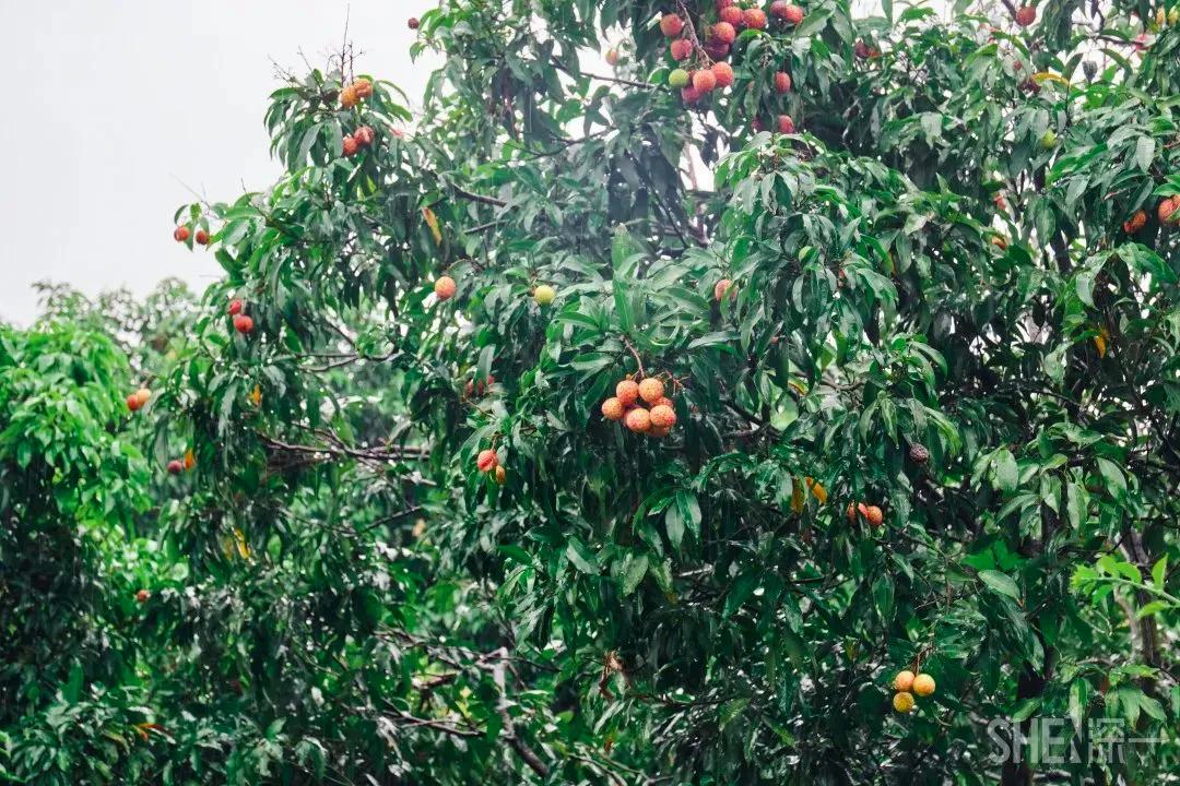 9号线上有什么景点吗,9号线游玩攻略大全