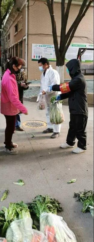 收到政府发放的爱心菜,政府领的爱心菜