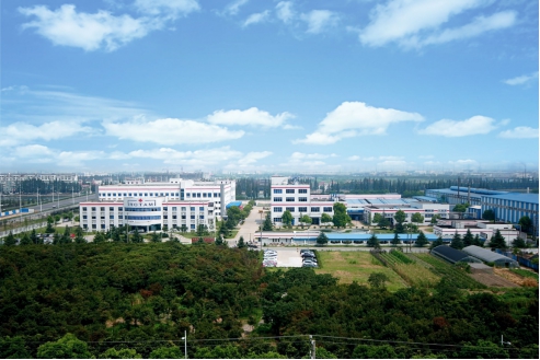 龙灯有机肥料,龙灯化学产品效果怎么样