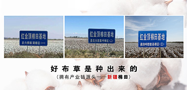 红金顶布草价格,红金顶布草