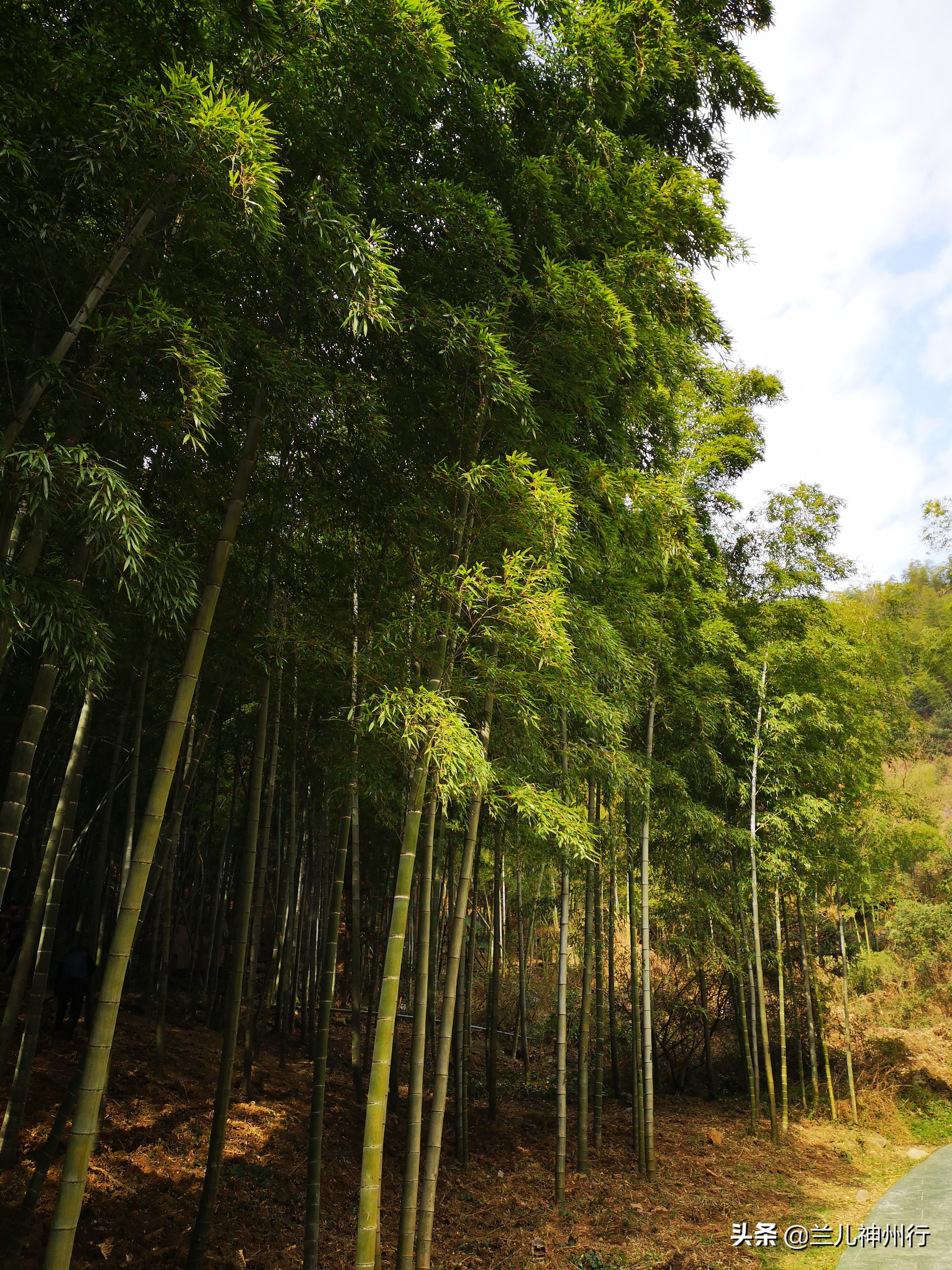 浙东小九寨周边有什么风景区吗,浙东小九寨自驾