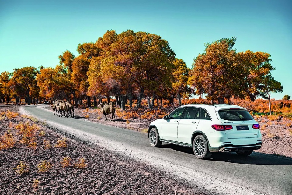 新梅赛德斯奔驰长轴距glcsuv,梅赛德斯奔驰长轴距glcsuv落地价