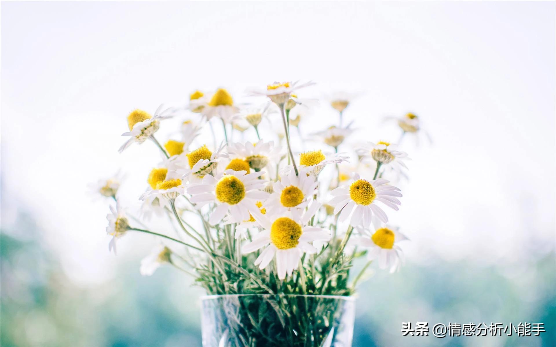 孕妇怀孕9个月坚持下地干活,孕期很累浑身没劲还流血正常吗