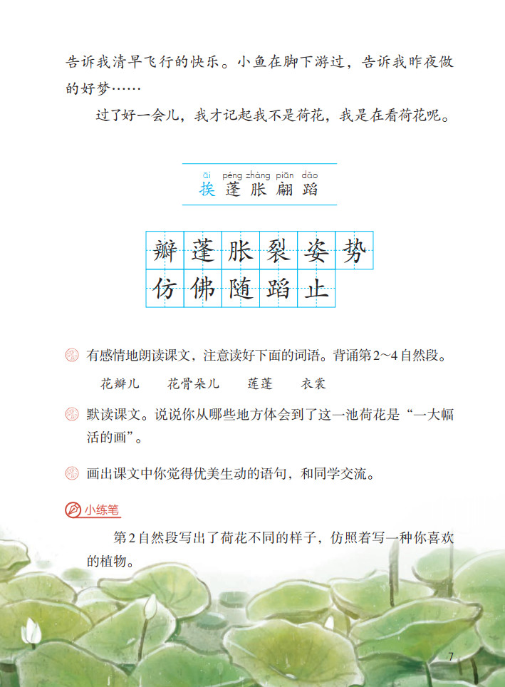 三年级下册语文荷花小练笔200字,三年级下册语文3课荷花课文讲解