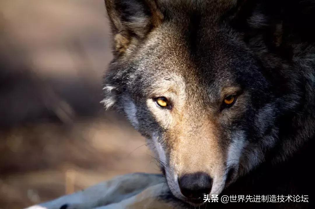 我在欧洲的商场，看到了中国低端产业的真相