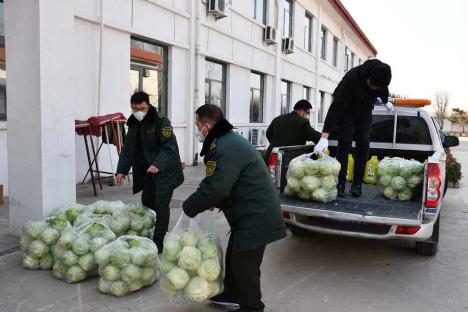 稳步推进各项目复工复产安全工作,春节后复产复工安全生产工作汇报