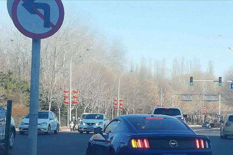 汽车取消限购权威分析 (汽车限购后汽车发展会受到制约吗)