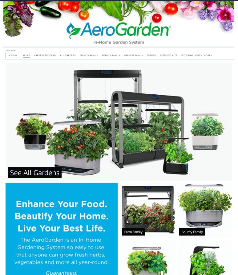 「甜心跨境」300万的亚马逊卖家，只有9个让人羡慕的品牌旗舰店