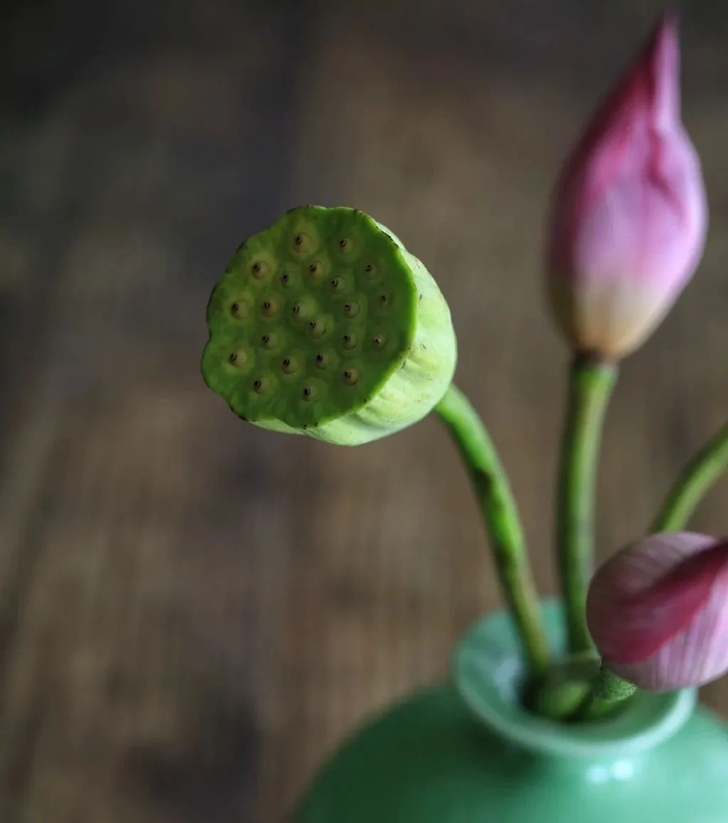 繁华过后一盏清茗也能品出百味,繁华之后静立于世