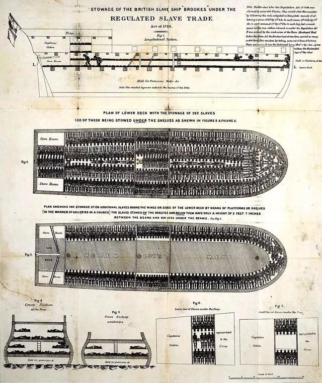 英国奴隶贸易的真相,英国奴隶贸易事件