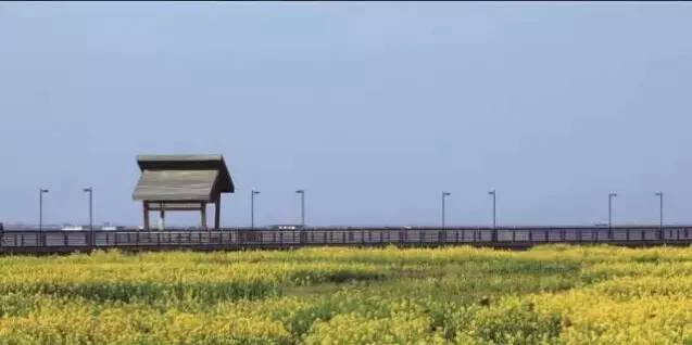 2020年婚纱照风格苏州,苏州婚纱照性价比高的推荐