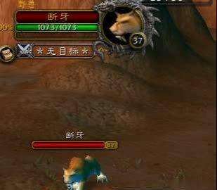 魔兽世界怀旧服单刷搬砖,怀旧服tbc猎人搬砖