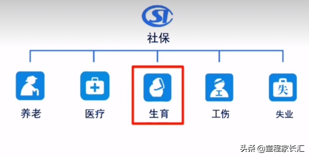 女员工生育保险流程图最新,女职工生育保险待遇报销流程图
