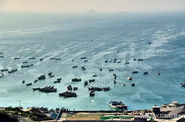 一位导游的枸杞岛之旅 (枸杞岛2021年原创游记攻略分享)