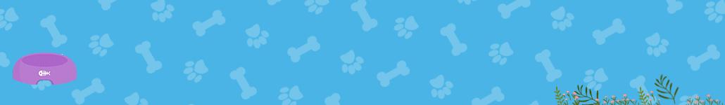 串串泰迪和纯种泰迪能生出什么犬,纯种泰迪最后买了串串泰迪怎么办