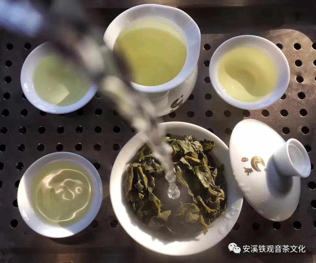 安溪铁观音在哪里,碧恒春安溪铁观音