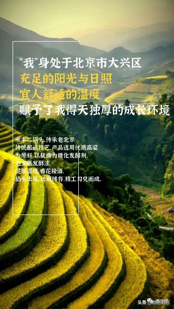 永丰北京二锅头蓝瓶兑什么好喝,正宗永丰光瓶二锅头