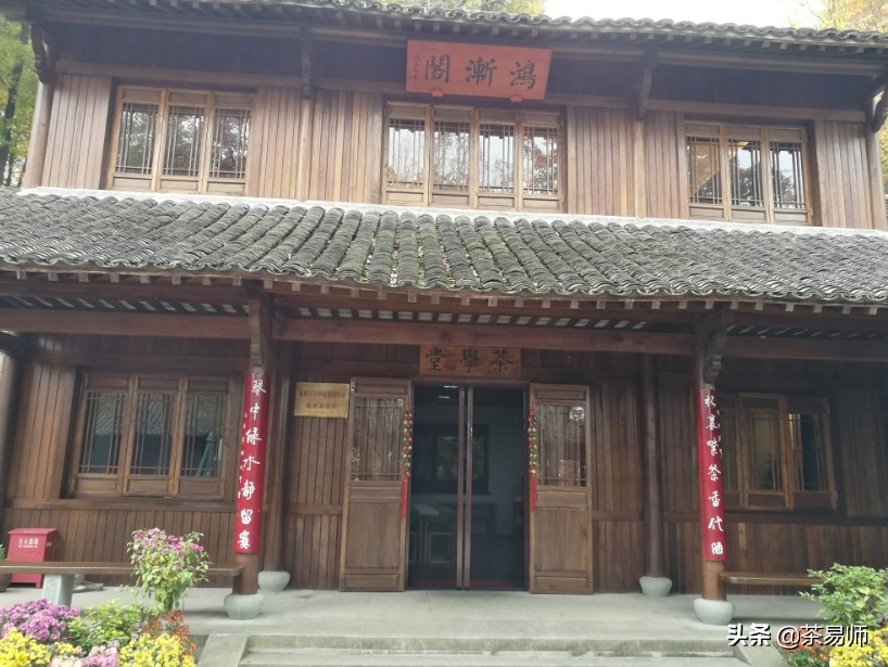 茶易师,易经大师讲茶叶