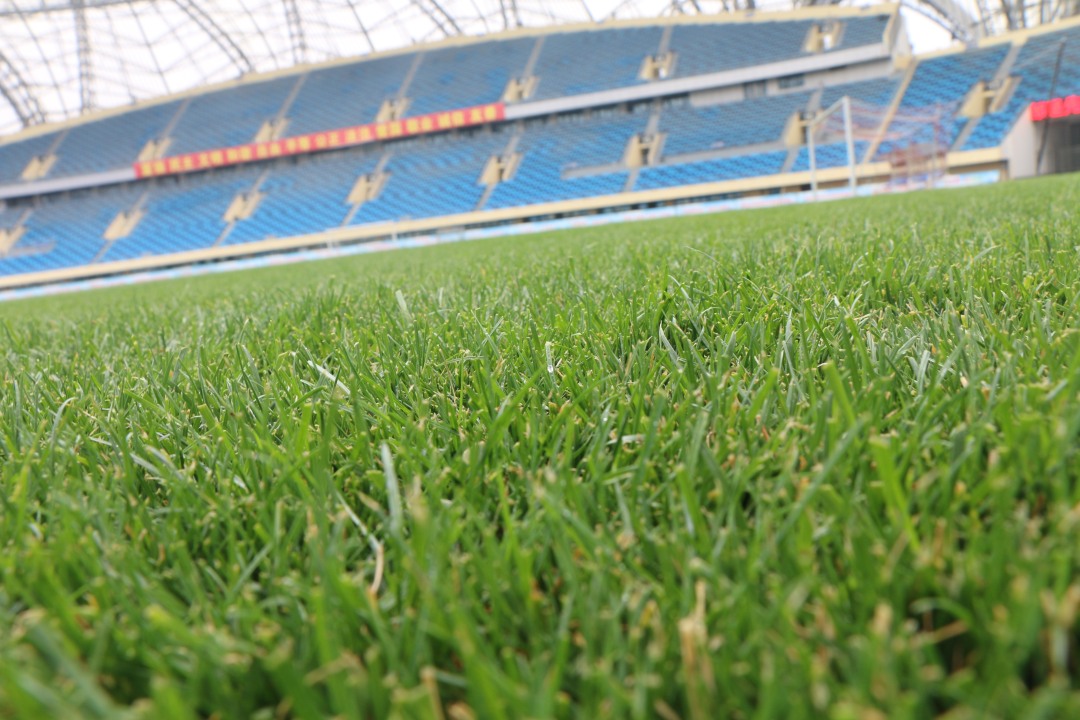 贺兰山体育场球场,发现新球场的视频