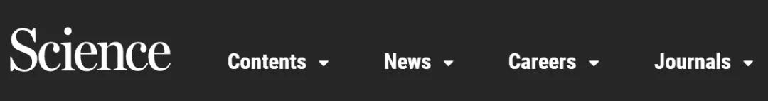 瀵煎笀绂昏亴浣嗚繕鏄甫璁烘枃,瀵煎笀璺虫Ы