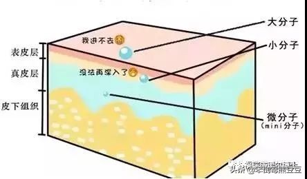 李佳琦推荐的福瑞达玻尿酸安瓶,福瑞达玻尿酸玻色因