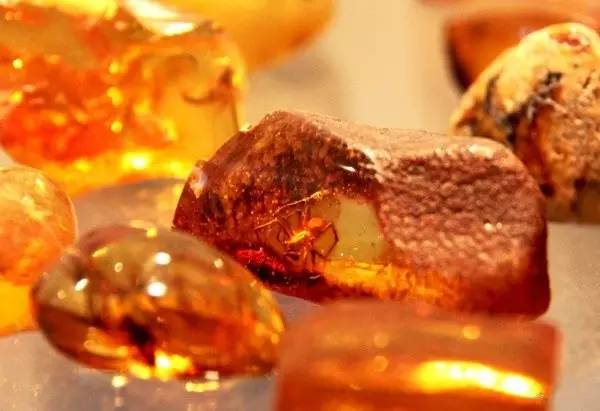 意大利琥珀蜜蜡产地,琥珀蜜蜡产地有哪些