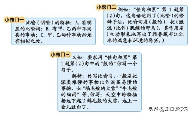 语文六年级下册部编版期中知识点,六年下册语文单元知识点
