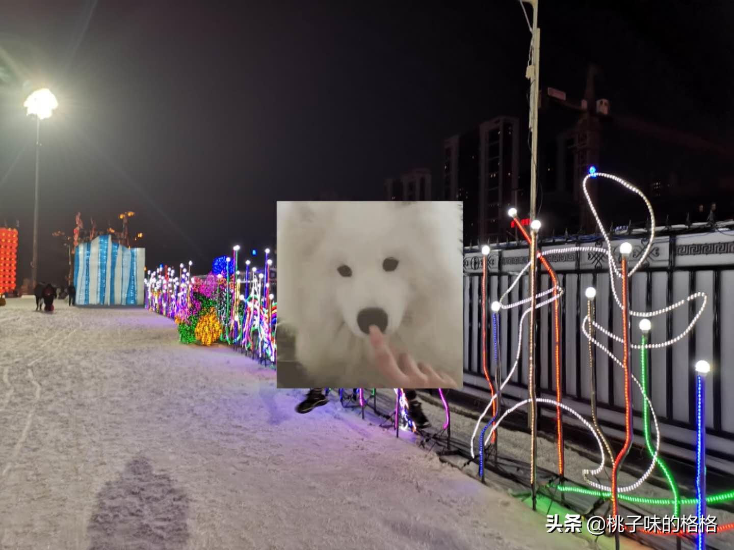 沈阳奥体冰雪嘉年华值不值得去,沈阳丁香湖奥悦冰雪嘉年华