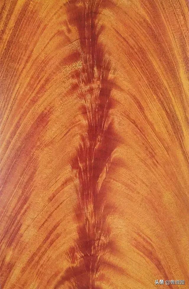 天然木皮源于大自然的美感,天然木皮的美