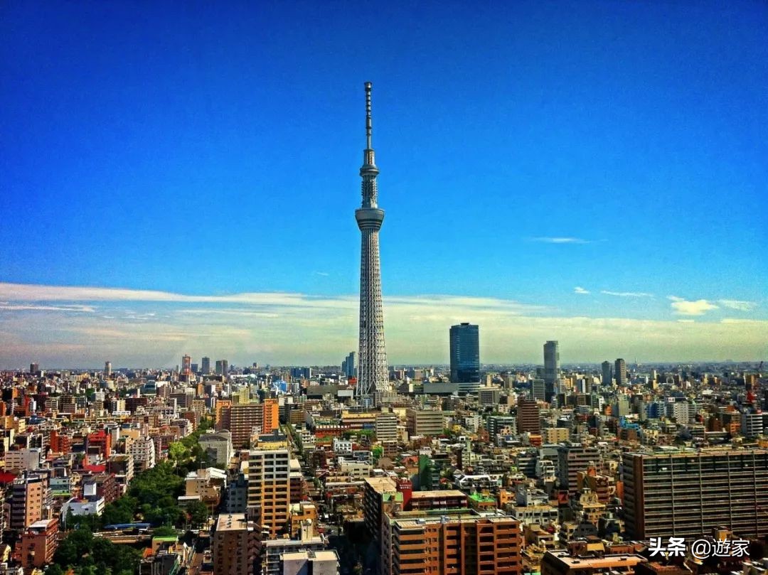 网购日本东西如何省钱,日本母婴产品哪些值得买