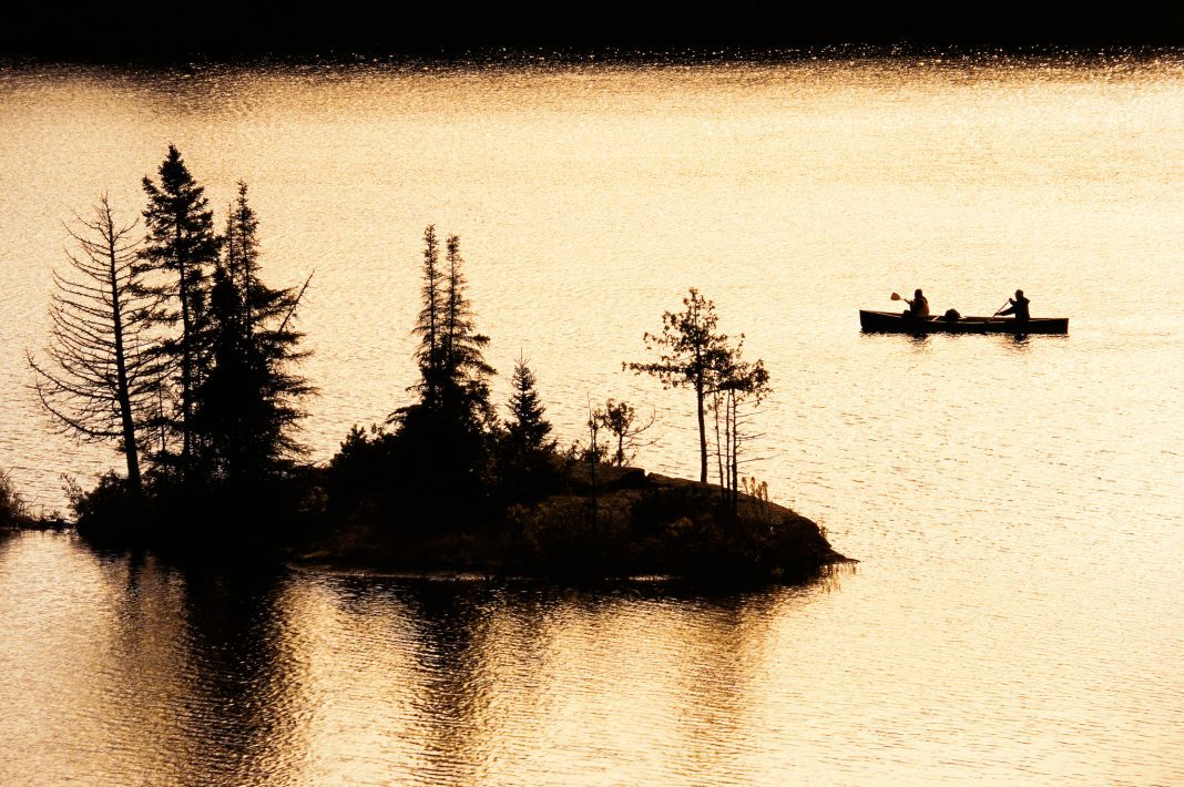 美国车牌为什么那么多图案,为什么有人取车牌