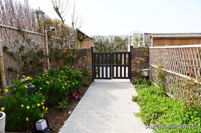 上海洋水仙,上海璞素上居民宿抖音团购