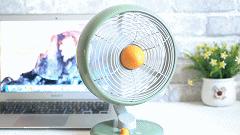 炙热夏天怎样安度？网友：洛斐有范儿，用科技带给你柔和自然风