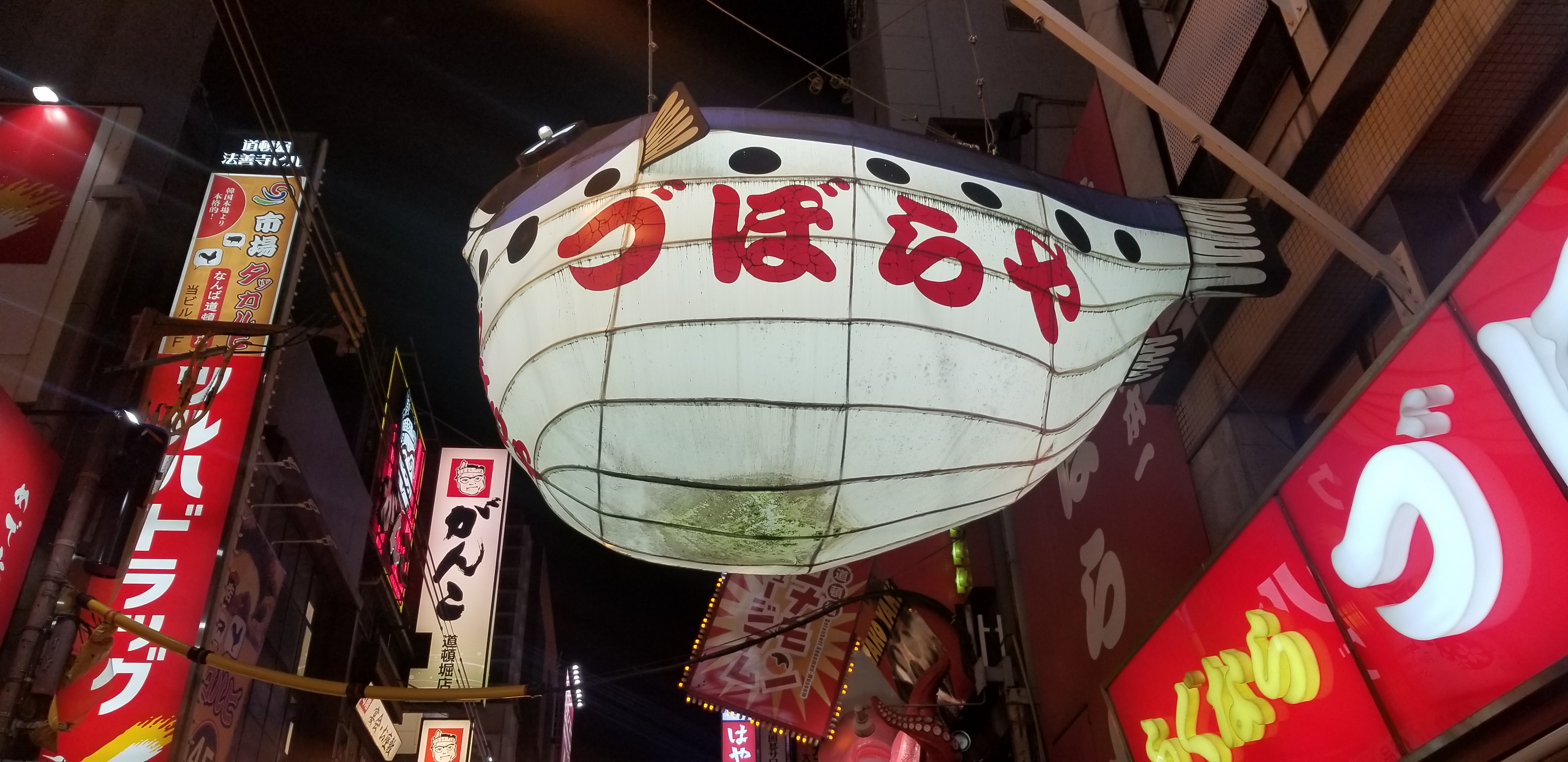 日本奈良自由行详细攻略,日本大阪京都自由行路线