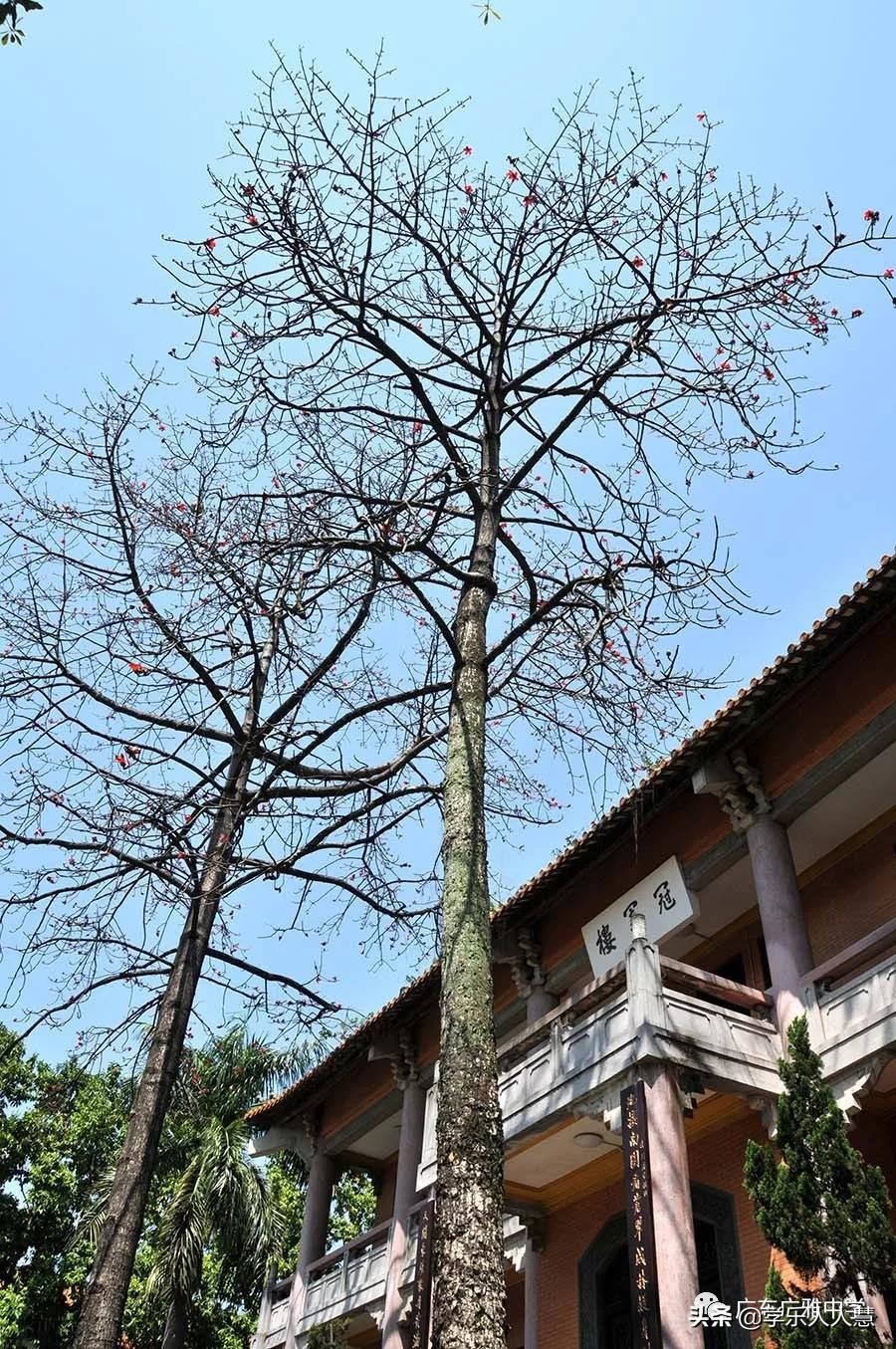 广州广雅中学是什么档次,广东广雅中学全国排名