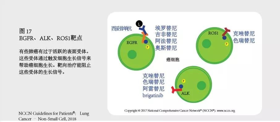肺癌诊疗计划书,肺癌诊疗指南书籍