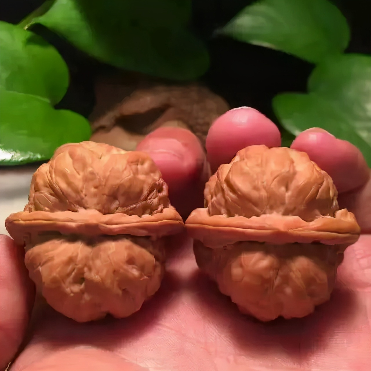 如何盘核桃又红又亮,核桃怎么盘油亮