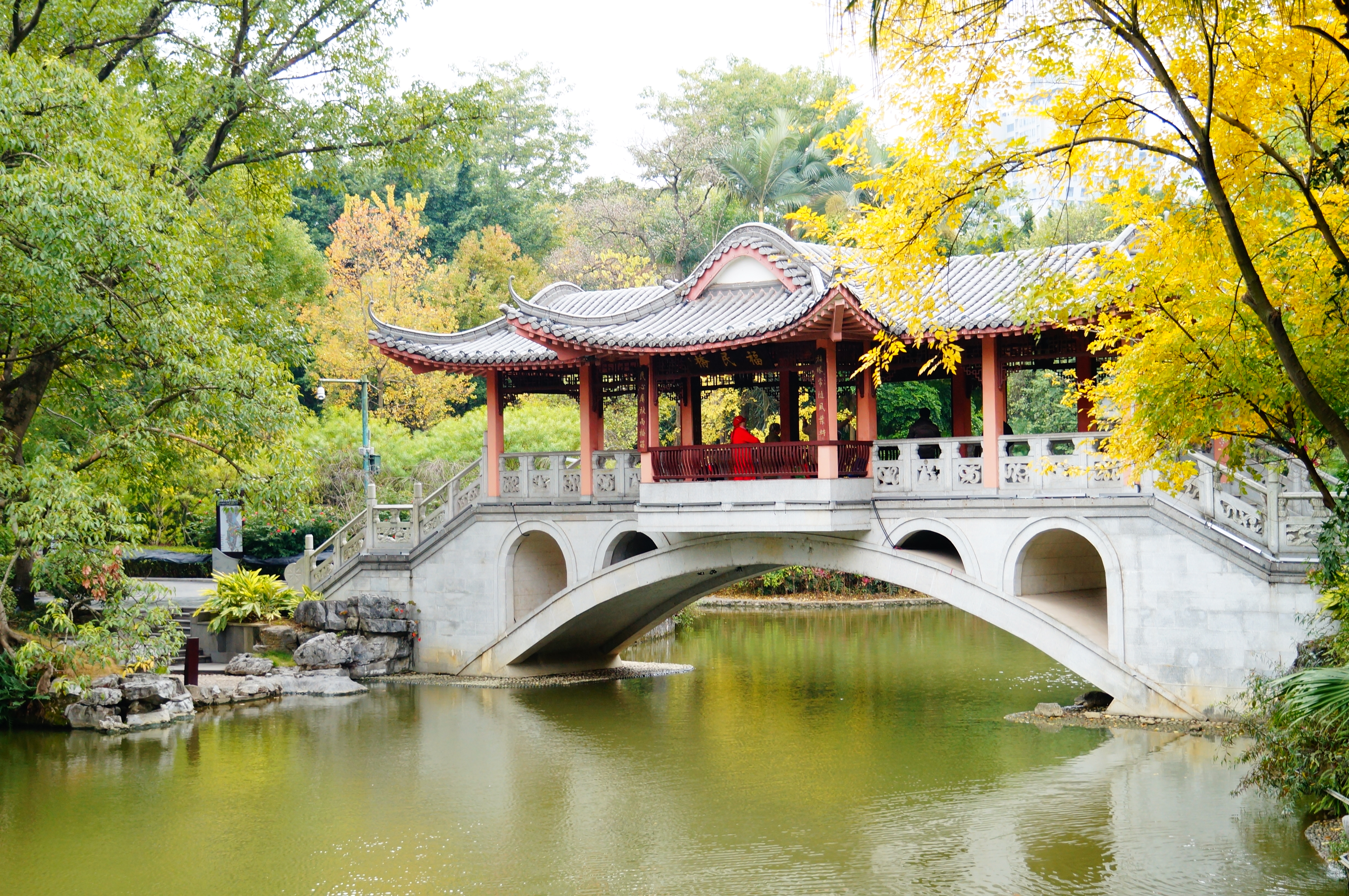 柳州的柳侯公园景色,柳州的秋天美景