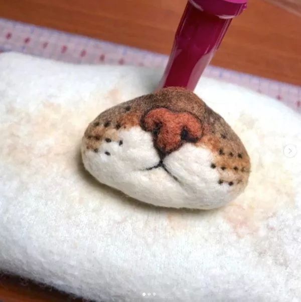 捡到猫胡子会带来什么好运 (捡到猫的胡子真的会有好运吗)